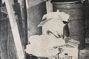 Swinger In The Drum